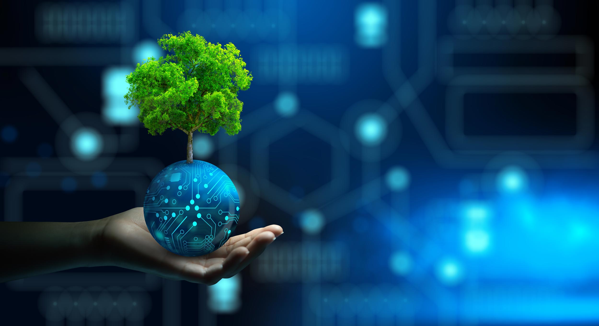 Innovation and Climate Change